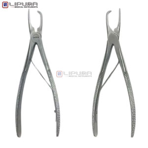 Herramienta Dental Veterinaria para el Cuidado Bucal de Mascotas, Pinzas de Acero Inoxidable de 7 Pulgadas con Punta Curva, Instrumento Manual para Eliminar el Sarro - Product Image 4