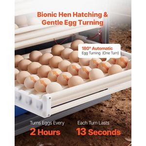 ตู้ฟักไข่ 400 ฟอง พร้อมระบบพลิกไข่อัตโนมัติ ควบคุมอุณหภูมิและความชื้น ระบบทำความร้อนและความเย็น สำหรับการดูแลสัตว์ปีก - Product Image 4