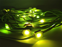 Lumière LED intelligente permanente pour l'extérieur, Noël, Wifi, RGB, lumière de gouttière, IP67, parc à thème, lumière ponctuelle à pixels