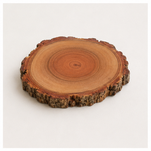 Premium Handcrafted Wood <b>Log</b> Coasters With Natural Bark Edge Eco-Friendly Heat Resistant Rustic Wood Slices For Home Restaurant - Product Image 4
