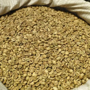 Natural unroasted Vietnam <b>Robusta</b> <b>beans</b>, OEM/ODM export grade, bulk <b>coffee</b>, fresh harvest, 12% moisture quality - Product Image 6