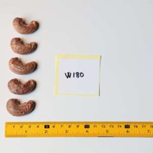 เม็ดมะม่วงหิมพานต์อบออร์แกนิคพรีเมียมจากเวียดนาม เกรด W180 รสเค็มเนียนนุ่ม บรรจุในกระปุกสี่เหลี่ยม 500 กรัม ขายส่งโดยตรงจากผู้ผลิตตงฟู่ - Product Image 6