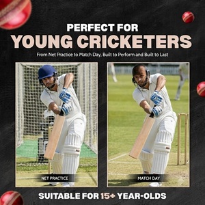 OEM ODM Service Acceptable <b>Cricket</b> <b>Equipments</b> Kashmir Willow Bats - Product Image 5