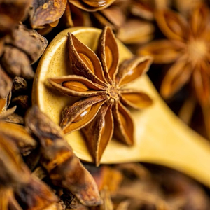 Anis étoilé frais et séché de qualité supérieure du Vietnam, offre spéciale export 2026 - Product Image 1