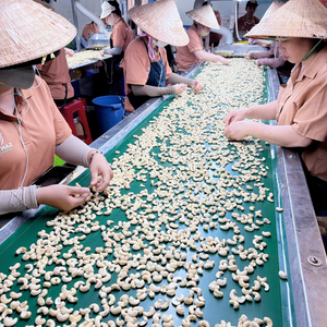 บรรจุภัณฑ์ OEM, ODM เม็ดมะม่วงหิมพานต์ SANTIGO นัทส์ เคอร์เนล แคชชูนัทส์ คาจู บาดัม จัดส่งรวดเร็ว - Product Image 5