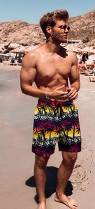 Shorts pour hommes à imprimé tropical, taille élastique avec cordon de serrage, pour la plage, l'été, la natation, les loisirs et les vacances, coloré, blanc, haut de gamme, chemise d'été pour hommes - Product Image 2