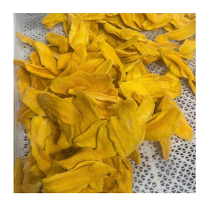 Natural Soft Dried Mango in Bulk – Reliable Wholesale Supplier for Food Service and Retail Markets - Product Image 1