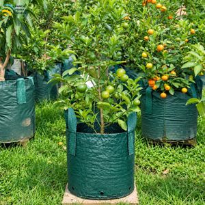 High Quality 75L HDPE Woven <b>Planter</b> Bag 150 GSM UV Resistant Grow Bag with 2 Handles <b>for</b> Nursery Farm Garden - Product Image 6