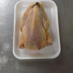 Ave de Corral Congelada de Primera Calidad, Carne de Avestruz de Alta Calidad para Exportación al por Mayor - Product Image 4