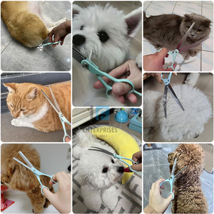 Ciseaux de toilettage pour animaux de compagnie en acier inoxydable de haute qualité, fabriqués au Pakistan, en stock, design simple, durables, écologiques - Product Image 6
