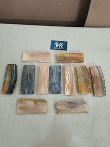 Piezas de Cuerno de Carnero Natural Premium para Fabricación de Mangos de Cuchillos, Material de Calidad para Exportación a Granel - Product Image 3