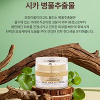 Crème Coréenne LINA SNAIL 15% CICA 50ml Soin Quotidien Raffermissant Éclaircissant Anti-rides Anti-âge Hydratant en Boîte