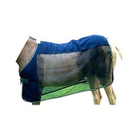 Feuille mouche cheval