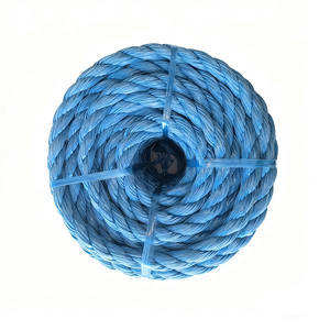 Cuerda <span class=keywords><strong>de</strong></span> Alta Resistencia a la Tracción <span class=keywords><strong>y</strong></span> al Rotura <span class=keywords><strong>de</strong></span> Color Azul, Cuerda <span class=keywords><strong>de</strong></span> Polipropileno <span class=keywords><strong>de</strong></span> 3 Hilos para Cultivo <span class=keywords><strong>de</strong></span> Peces - Product Image 2
