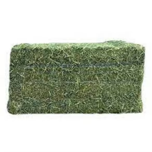 Heno de Alfalfa Seleccionado a Granel para Nutrición Equina, Alimentación de Vacas Lecheras, Cabras, Ovejas y Conejos, Cosecha de Hojas Verdes de Calidad - Product Image 3