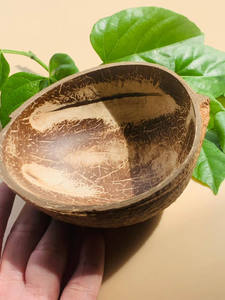 Eco2go Vietnam - Platos de helado artesanales ecológicos - Vajilla reutilizable apta para veganos - Product Image 2