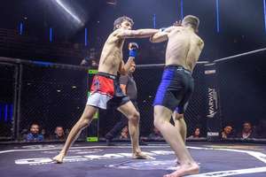 Cubierta de Lona para Ring de Boxeo Cuadrado IRSA SPORTS Personalizada, Cubierta de Suelo de PVC/Vinilo Resistente, Fabricante OEM de Equipos de Gimnasio - Product Image 6