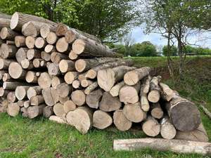 Precio de Fábrica, Leños de Biomasa, Briquetas de Madera de Alta Densidad, Combustible Ecológico para Calefacción, Uso Industrial, Larga Duración, Venta al Por Mayor - Product Image 6