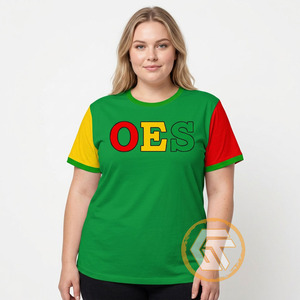 T-shirt décontracté d'été pour femme Eastern Star, 100 % coton jersey, respirant, anti-plis, anti-boulochage, col en V, demi-manches, vente en gros - Product Image 2