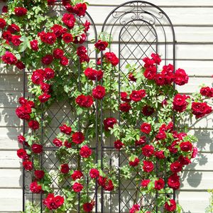Set di 2 Tralicci da Giardino in Ferro Antiruggine 40x150 cm, Pannelli Impermeabili per Recinzioni, Cancelli, Balconi e Supporti per Piante - Product Image 6