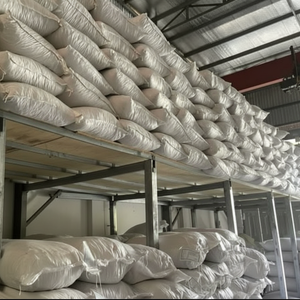 Jengibre en rodajas finas / Fette di zenzero secco, cortado en tiras para fabricantes de té (WA +84 914319488) - Product Image 6