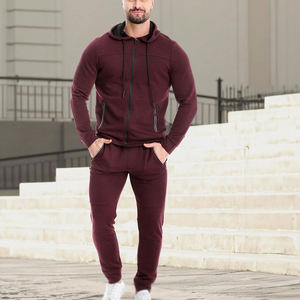 Ensemble de survêtement décontracté pour homme, automne, à capuche, couleur unie, manches longues, fermeture éclair, sweat-shirt et pantalon, matière polyester respirante - Product Image 6