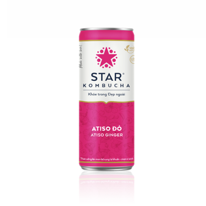 Bebida de Kombucha de Alcachofa y Jengibre al por Mayor, 250ml, Marca Star Kombucha, Bebida de Té Fermentado, Precio Competitivo, Exportación - Product Image 1