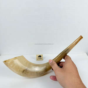 สวดมนต์ราคาที่ดีที่สุด RAM Horn shofar Israel Kosher ยิวยิว yemenite shofar ธรรมชาติ Hashanah Kosher kudu - Product Image 2