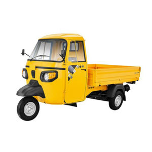 Le fourgon cargo fabriqué en Inde est disponible à la vente à un prix abordable vers l'Allemagne - Product Image 2