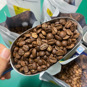Reliable Roaster Choice Top 100 Arabica Coffee Beans Medium <b>Roast</b> Fruity Light Sour V60 Pour Over Hot Deal Online - Product Image 4