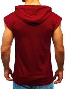 Double Layer Collar Fleece Eco-Friendly <b>Men's</b> Spring Casual <b>Sleeveless</b> Sweatshirt Regular Fit Polyester <b>Pullover</b> Unlined - Product Image 3