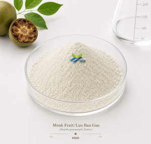 Approvisionnement direct de l'usine HGO Extrait de fruit de moine naturel/Luo Han Guo (Siraitia grosvenorii) Mogroside V 5% (extrait standardisé) - Product Image 1
