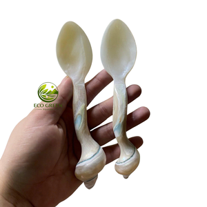 Artisan Mother of Pearl Coffee Spoon Handmade Natural <b>Shell</b> Tea Spoon Luxury Kitchen Utensils Home Gift Collection - Product Image 1