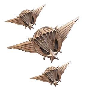 Badge en émail personnalisé avec des ailes et des anneaux, design circulaire en métal, attache à épingle de sécurité sans nickel - Product Image 6