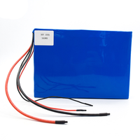 Baterai Lithium Ion 24V 36V 48V 52V 60V 72V 20Ah 25Ah 30Ah 40Ah 50Ah 60Ah 70Ah 80Ah 90Ah 100Ah untuk 250W 300W 1000W 2000W 3000W