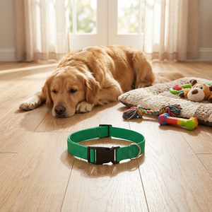 Venta al por mayor fabricante profesional martingala ajustable de nylon correas collar de entrenamiento para perros - Product Image 2