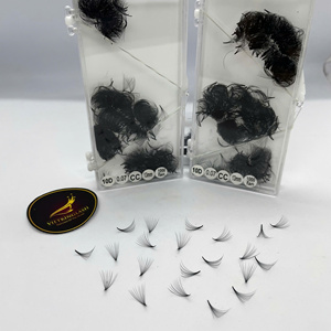 Extensions de cils volume faites à la main en gros 0.05 0.07 10D, fournitures de cils individuels doux, plateaux d'extensions de cils avec logo personnalisé - Product Image 1