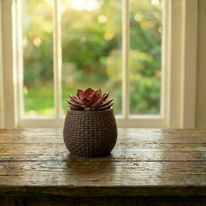Ensemble de 3 pots à succulentes en résine rustique, pots tressés pour décoration de bureau intérieure, couleurs blanc, marron, terre cuite, provenant d'Inde - Product Image 2