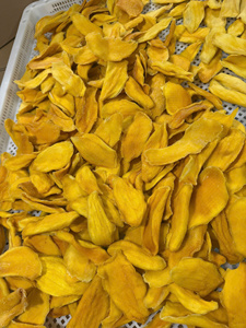 Tranches de mangue séchées, collation de fruits tropicaux sucrés, emballage en vrac, texture moelleuse, procédé de séchage AD - Product Image 6