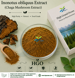 Suministro directo de fábrica HGO de extracto de Inonotus obliquus natural puro (extracto de hongo Chaga) (grado alimenticio) 5:1 (extracto de proporción) - Product Image 1