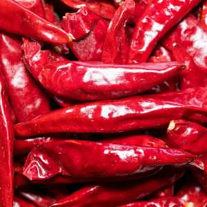 Chiles Habanero Rojos Enteros Congelados Directo de Fábrica en Polvo - Procesados IQF, Empaque a Granel, Condimento Picante - Product Image 3