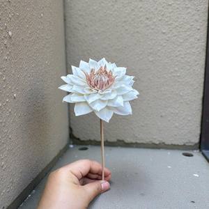 Fleur de Dahlia Rouge en Bois Sola Naturel 8-8,5 CM – Aromathérapie Durable Faite à la Main - Product Image 5