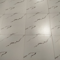 Carreaux de sol en céramique imprimés numériquement 600x600mm, surface effet sucre, couleur blanche, pour villa moderne, 60 x 60 CM