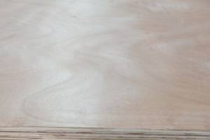 Contrachapado Comercial Moderno con Revestimiento de Madera Dura Mixta (Bintangor/Okume/Pino) y Núcleo de Eucalipto, con Pegamento E2/E1, para Diseño de Apartamentos - Product Image 2