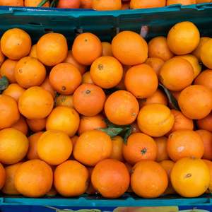 Naranjas, mandarinas y tangerinas frescas de alta calidad a precio de fábrica en venta |   Cítricos de Primera Calidad a Bajos Precios Austria - Product Image 4