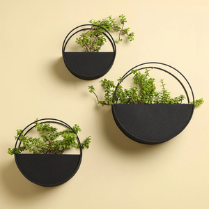 Jardinières en métal noir mat pour intérieur et extérieur, accessoires décoratifs muraux pour la maison et l'hôtel à bas prix - Product Image 6