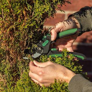 Sécateur de précision pour jardinage, ciseaux de taille et outils de coupe pour la taille professionnelle - Product Image 3