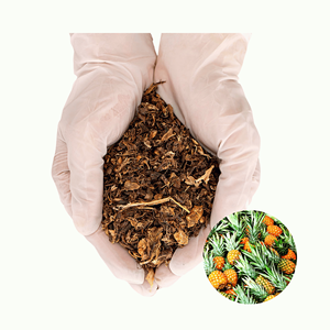 Piel de Piña Seca de Vietnam, Precio Económico, Estándar Internacional, Empaque Personalizado Disponible - Product Image 1