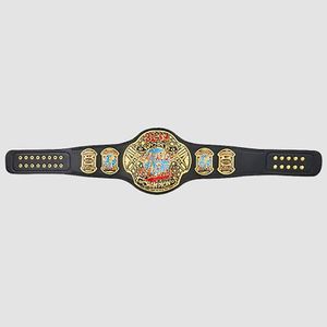 Réplica del Título del Campeonato Mundial de Peso Pesado de la ECW - Product Image 2