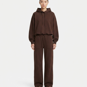 Conjunto Casual de 2 Piezas para Mujer, Sudadera con Capucha y Pantalones Anchos de Color Sólido, Algodón, Corte Holgado, Uso Diario de Invierno - Product Image 1